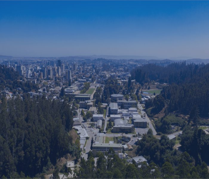 Vista panorámica de la Universidad de Concepción y la ciudad penquista.