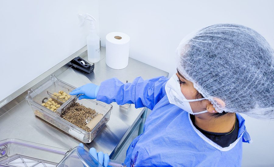 Mujer en un laboratorio, con mascarilla, bata, guantes y gorra de laboratorio, observando una muestra.