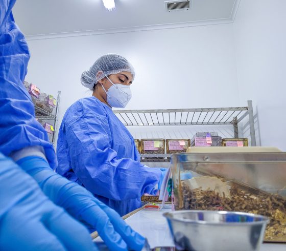 Mujer en un laboratorio, con mascarilla, bata, guantes y gorra de laboratorio, observando una muestra.