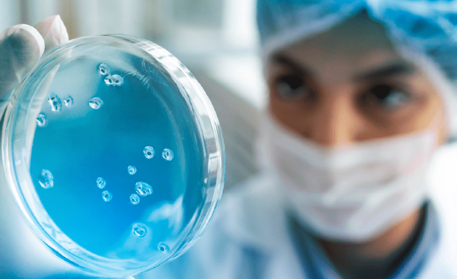 Mujer en un laboratorio, con mascarilla, bata, guantes y gorra de laboratorio, observando una muestra.